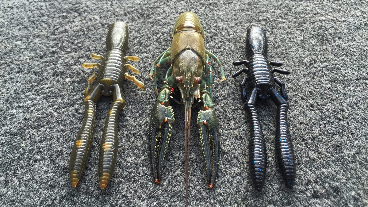 Chris-Zaldain-Bottle-Shrimp-Crayfish