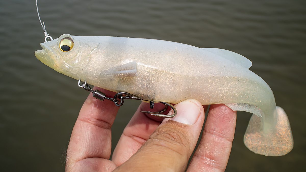 How Do You Choose A Good Swimbait? 