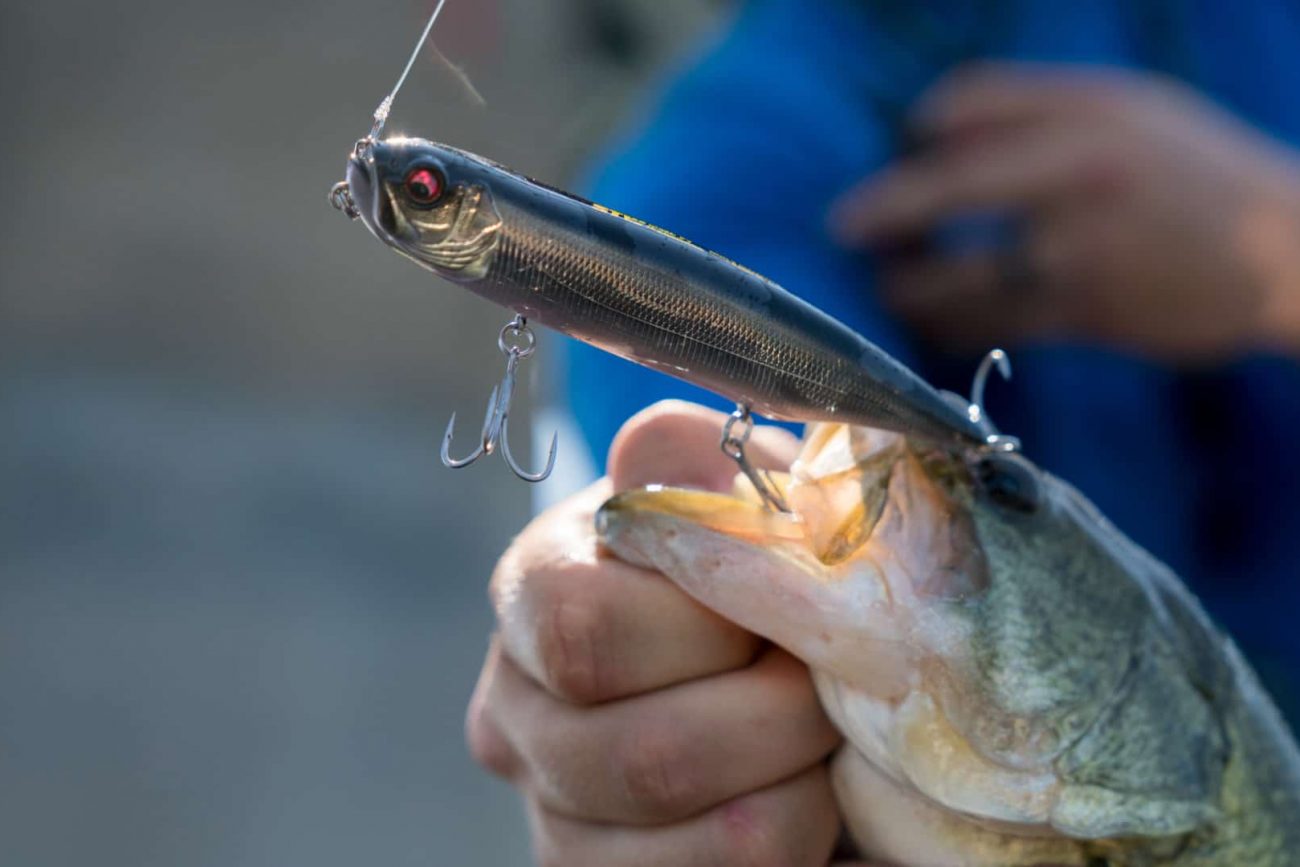 Topwater baits for post-spawn bass: Featuring the Jackall the