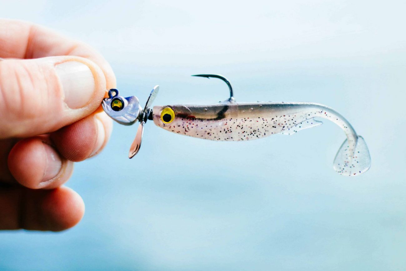 Bates: Fish edges for summertime bass