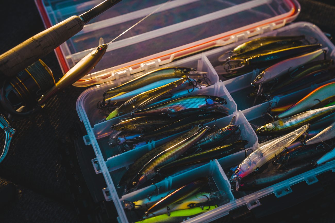 9 Bass Fishing Jerkbaits You Should Have in Your Tackle Box