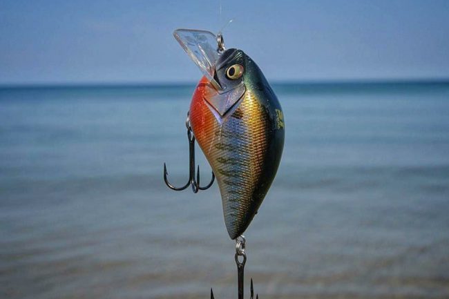 Custom Panfish Squarebill Crankbait Fishing Lure. Choose Your