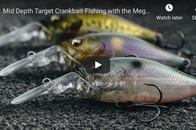 Fishing with the Megabass Deep-X 100 LBO