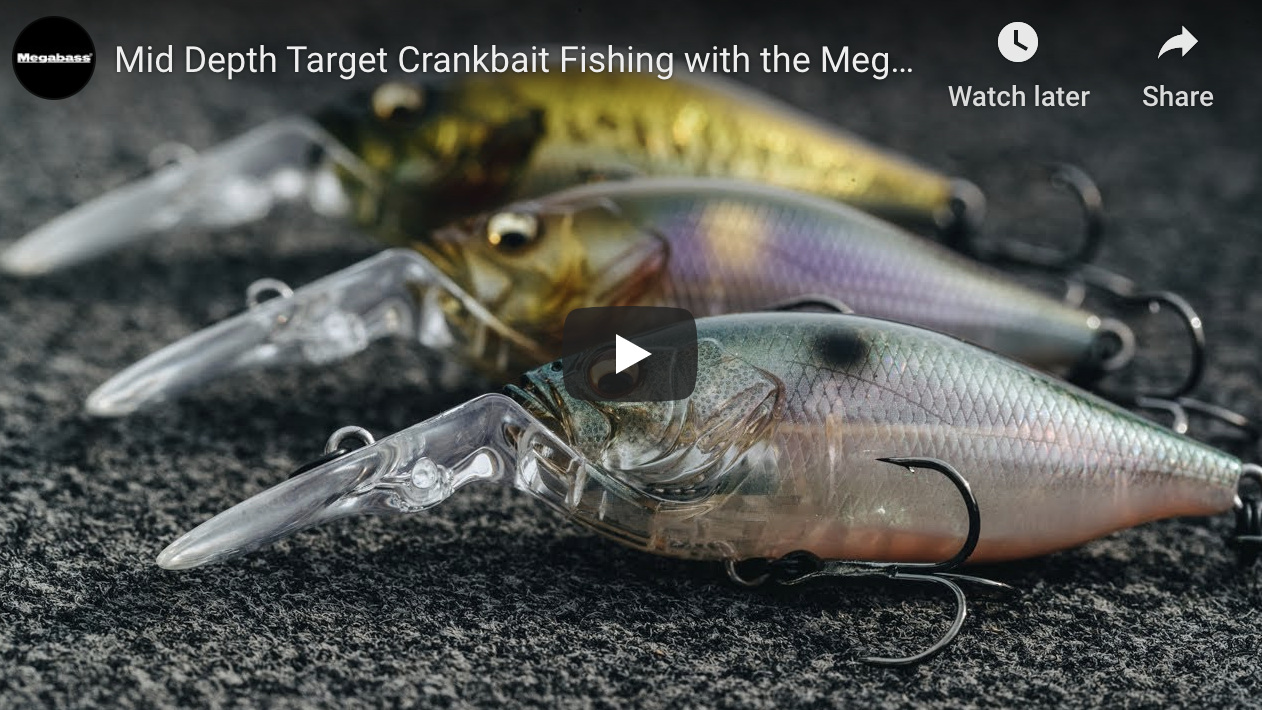 Megabass Sonicside Medium Diving Squarebill Crankbait Bass Fishing Lure