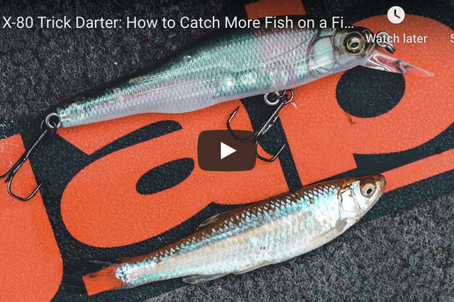 X-80 Trick Darter: How to Catch More Fish on a Finesse Jerkbait