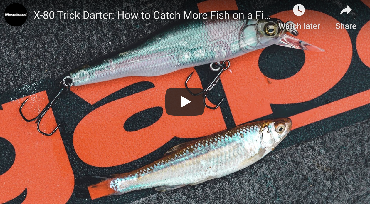 X-80 Trick Darter: How to Catch More Fish on a Finesse Jerkbait