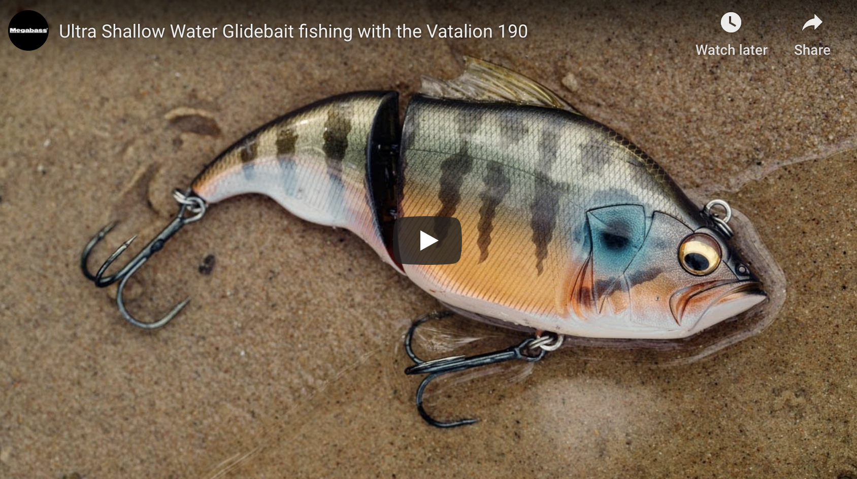 Ultra Shallow Water Glidebait fishing with the Vatalion 190 - Megabass