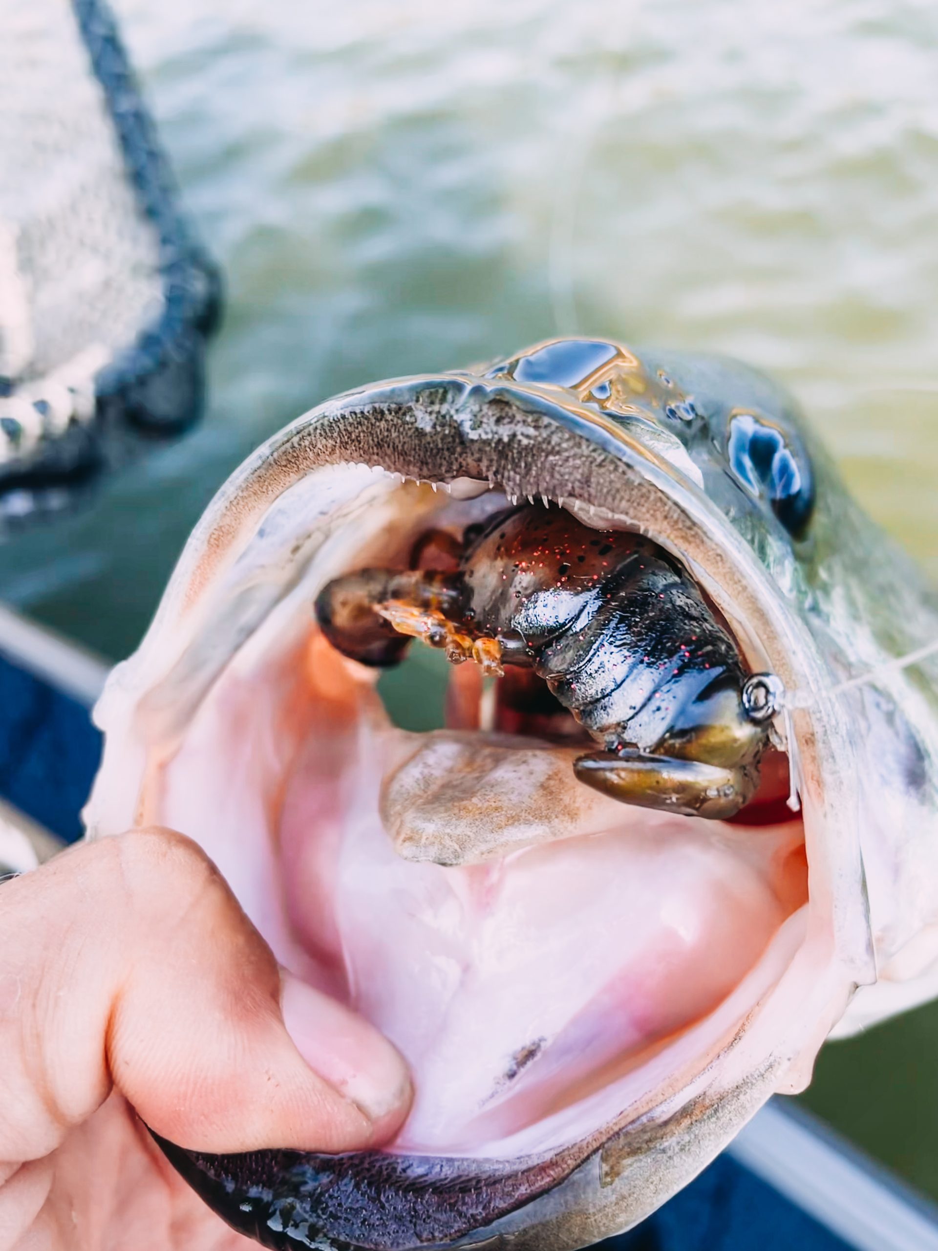 How to Fish Megabass Dark Sleeper - Ultra Deep Swimbait Technique 