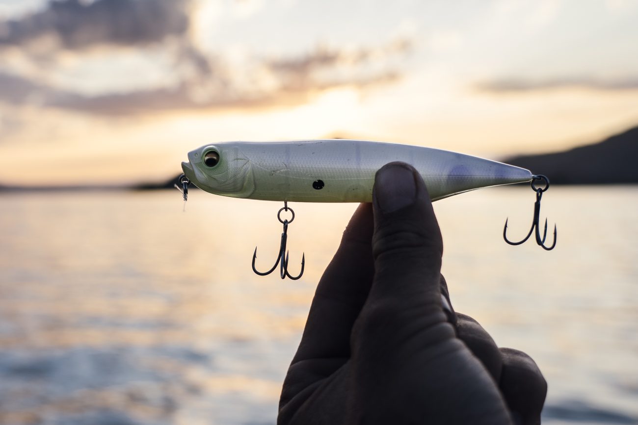 Catching Shallow Summer Bass