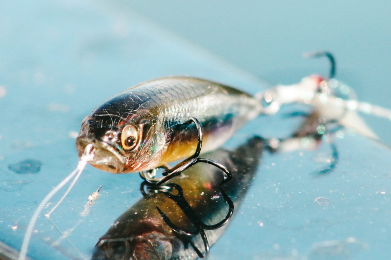 Bates: Fish edges for summertime bass