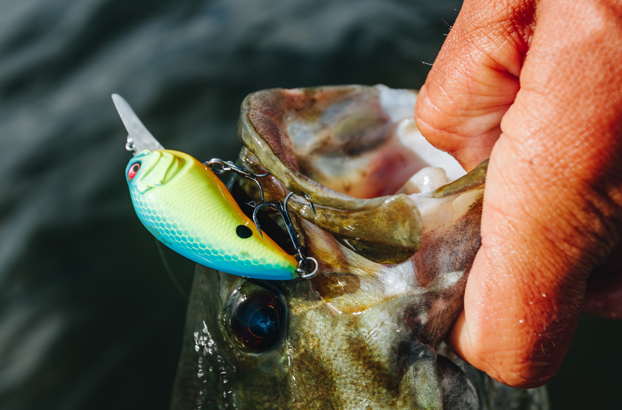 Target Late Summer Bass with Small Crankbaits - Megabass