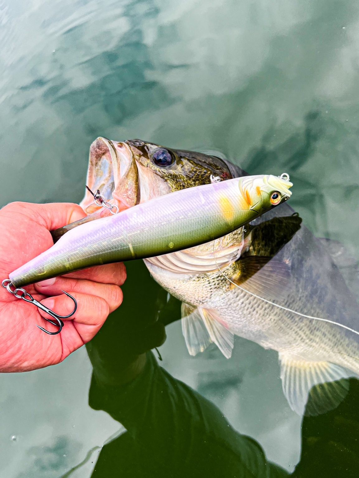 Mastering Topwater Bass During the Fall Transition - Megabass