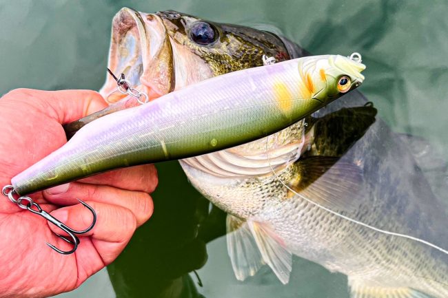 Secret Japanese Baits For Spring Bass Fishing (These Work