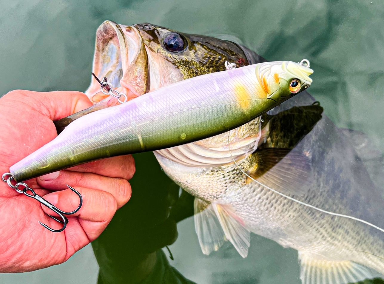 Buzzbaiting and Walking Baits, Two Ways to Early Season Topwater
