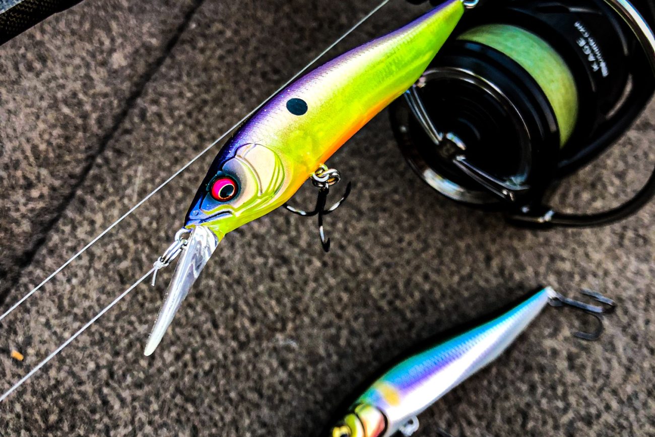 Mach baits x kickingthierbasstv machshad! What are your thoughts