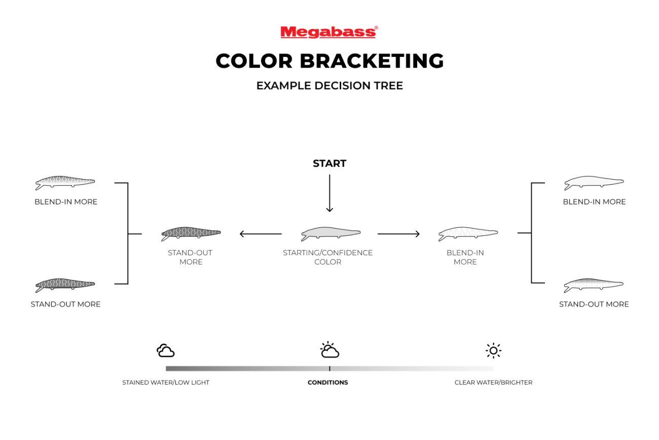 Jerkbait Color Selection Bracketing System