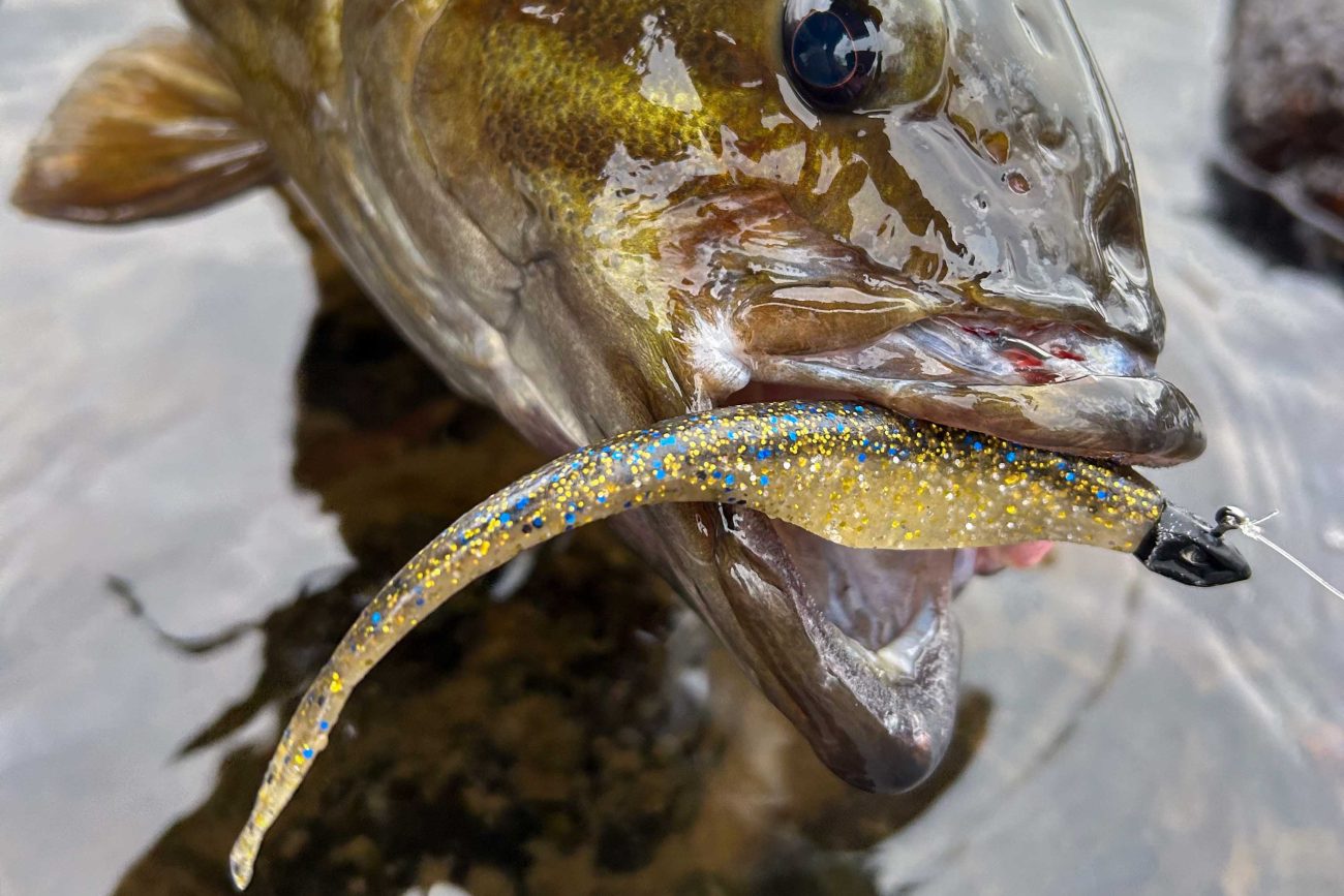 Megabass Deep Six Floating Crank Bait – Esche Da Pesca Galleggianti, PM Sunshine Gill (6158) – Affondante E Sonagli