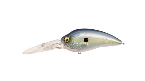GP SEXY SHAD