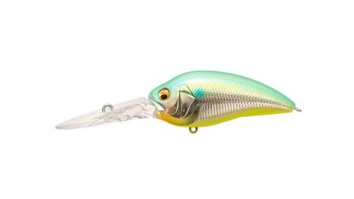 YUZU SHAD