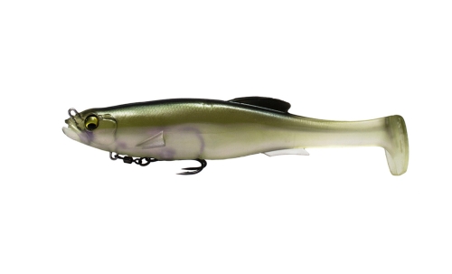 BOREALIS SHAD