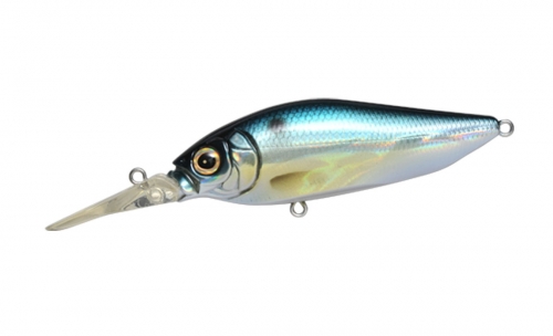 GG THREADFIN SHAD