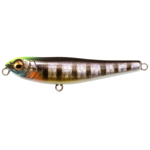 DOG-X JR COAYU (BFS) - Megabass