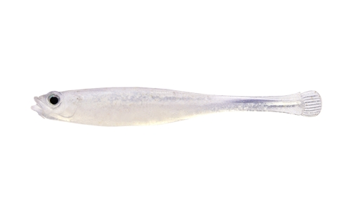 GHOST SHAD