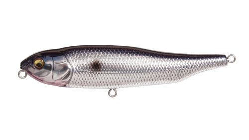 SPOTLIGHT SHAD