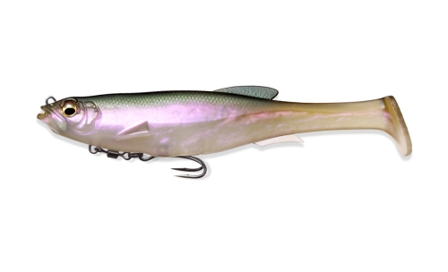 BOREALIS SHAD