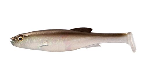 SILVER SHAD 