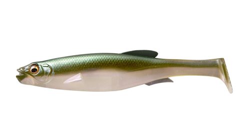 BOREALIS SHAD
