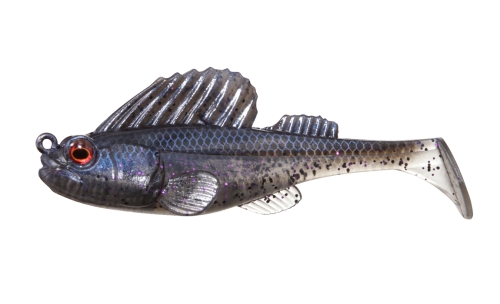 MIDNIGHT GOBY