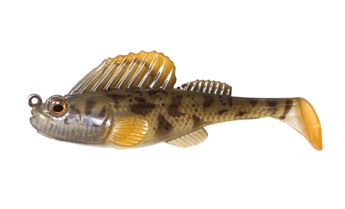 MORNING GOBY