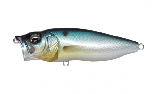 PM THREADFIN SHAD