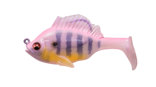 Pink Back Gill