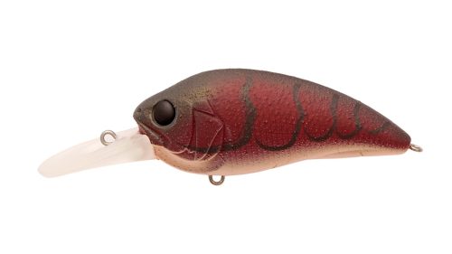 FIRE CRAW