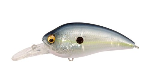 GP SEXY SHAD