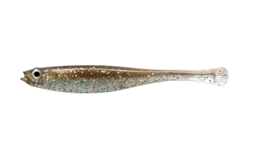 TENNESSEE SHAD