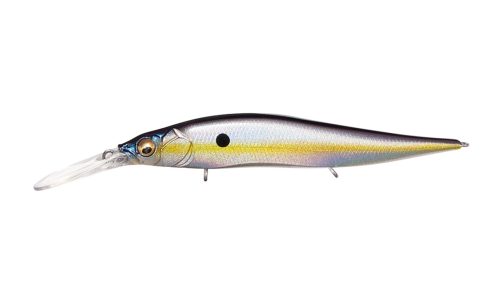 SEXY SHAD