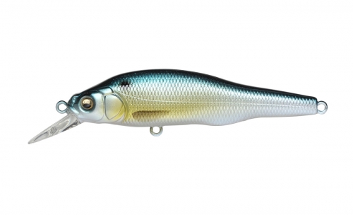 PM THREADFIN SHAD