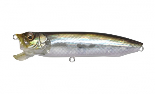 HT IL TENNESSEE SHAD