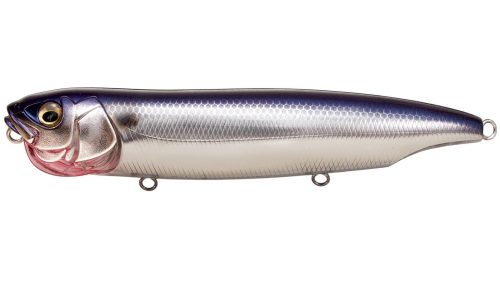 Spotlight Shad