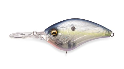GP SEXY SHAD